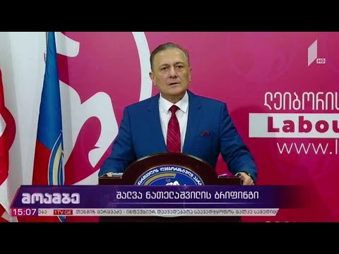 შალვა ნათელაშვილის ბრიფინგი